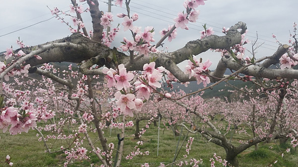 20150418_130150.jpg