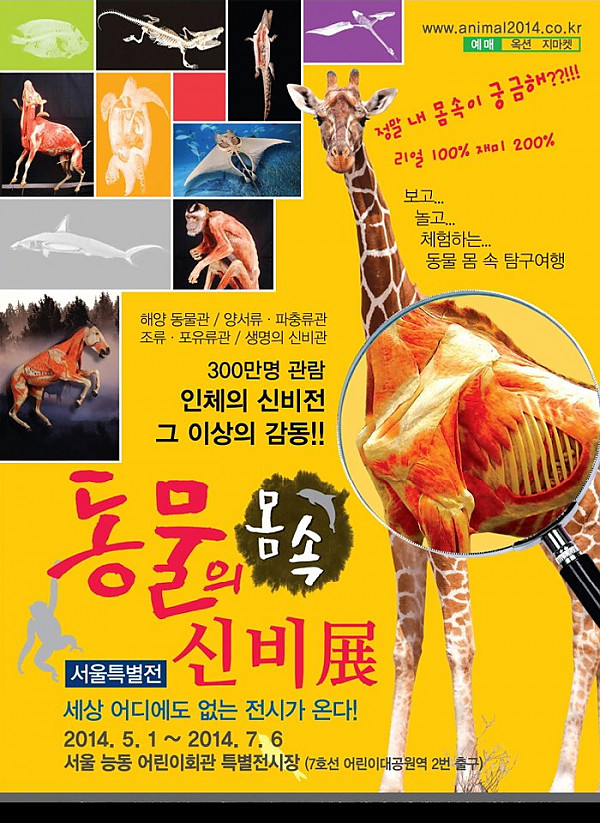 2014 동물의신비전(2014.05.01(목) ~ 2014.07.06(일).jpg
